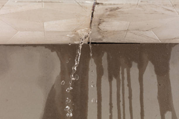 Professional Water Extraction technician working in Chester, OH